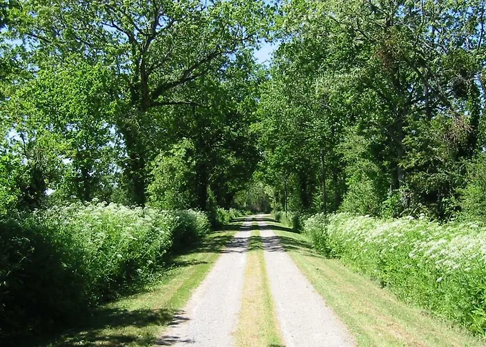 Chateau Breduriere Bed & Breakfast Moutiers-sur-le-Lay